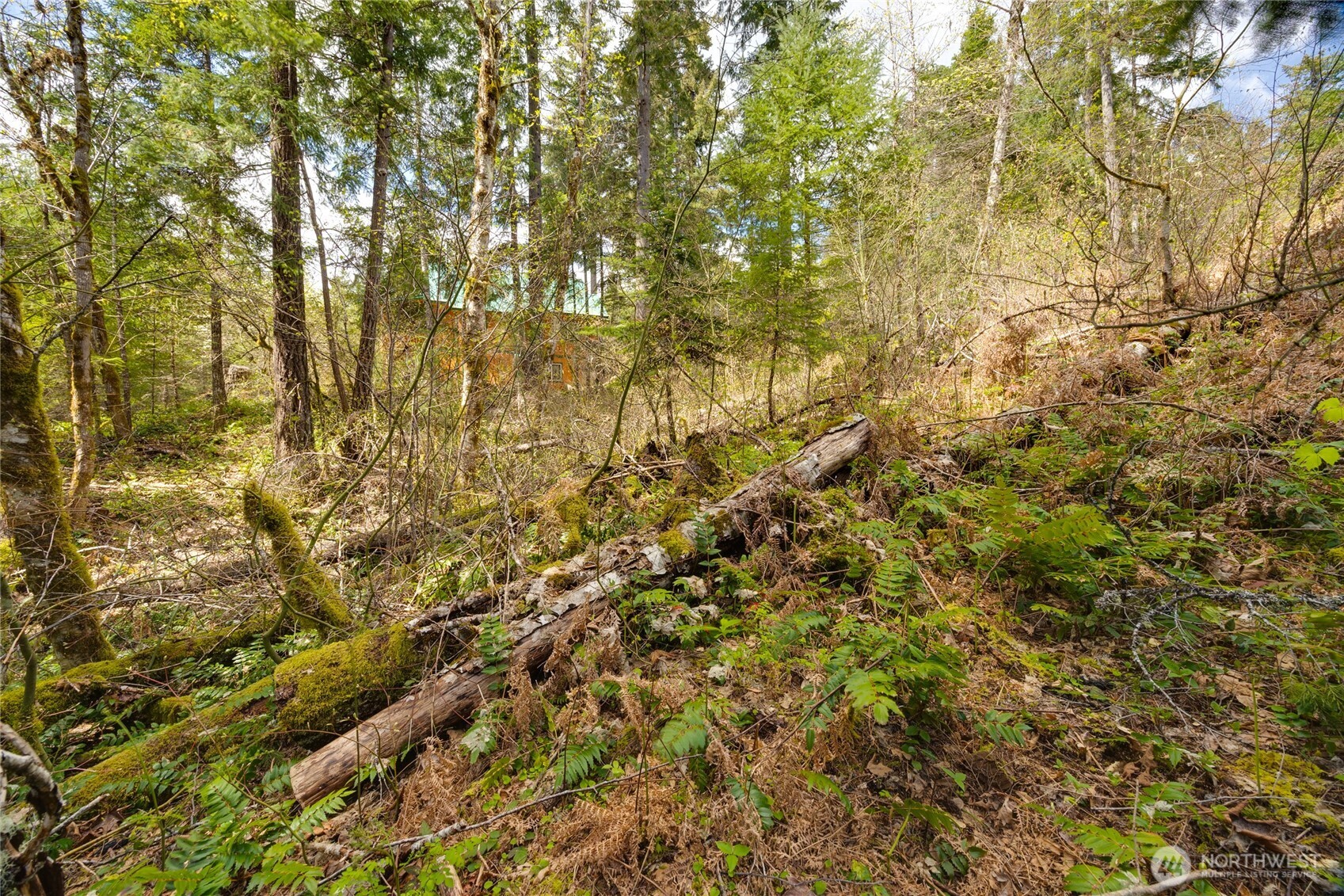 0 Lot 26 Terrace Way , Packwood, WA 98361