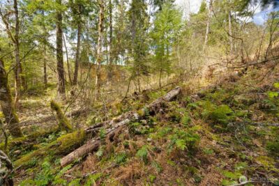 0 Lot 26 Terrace Way , Packwood, WA 98361 - Photo 8