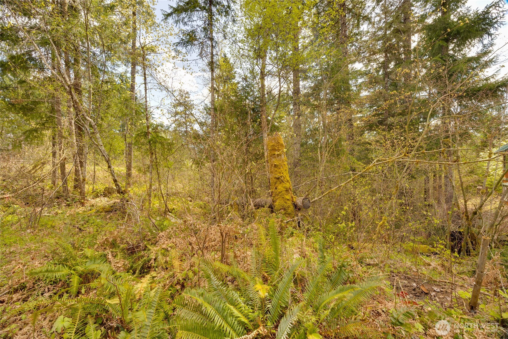 0 Lot 26 Terrace Way , Packwood, WA 98361