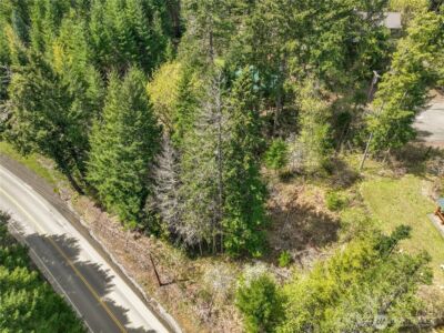 0 Lot 26 Terrace Way , Packwood, WA 98361 - Photo 10