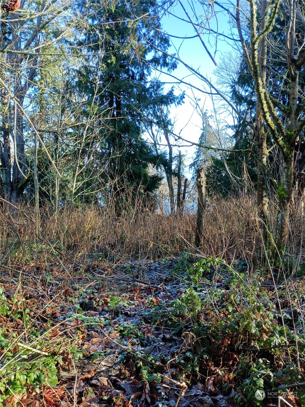 50 K Beach Way , Hat Island, WA 98206