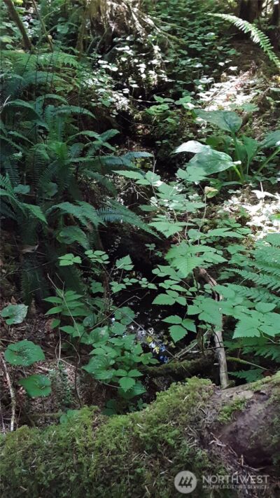 0 236xxx US-101 , Port Angeles, WA 98363 - Photo 15