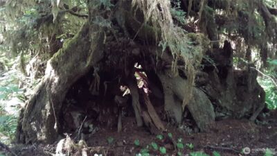 0 236xxx US-101 , Port Angeles, WA 98363 - Photo 16