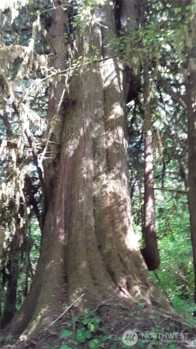0 236xxx US-101 , Port Angeles, WA 98363 - Photo 21