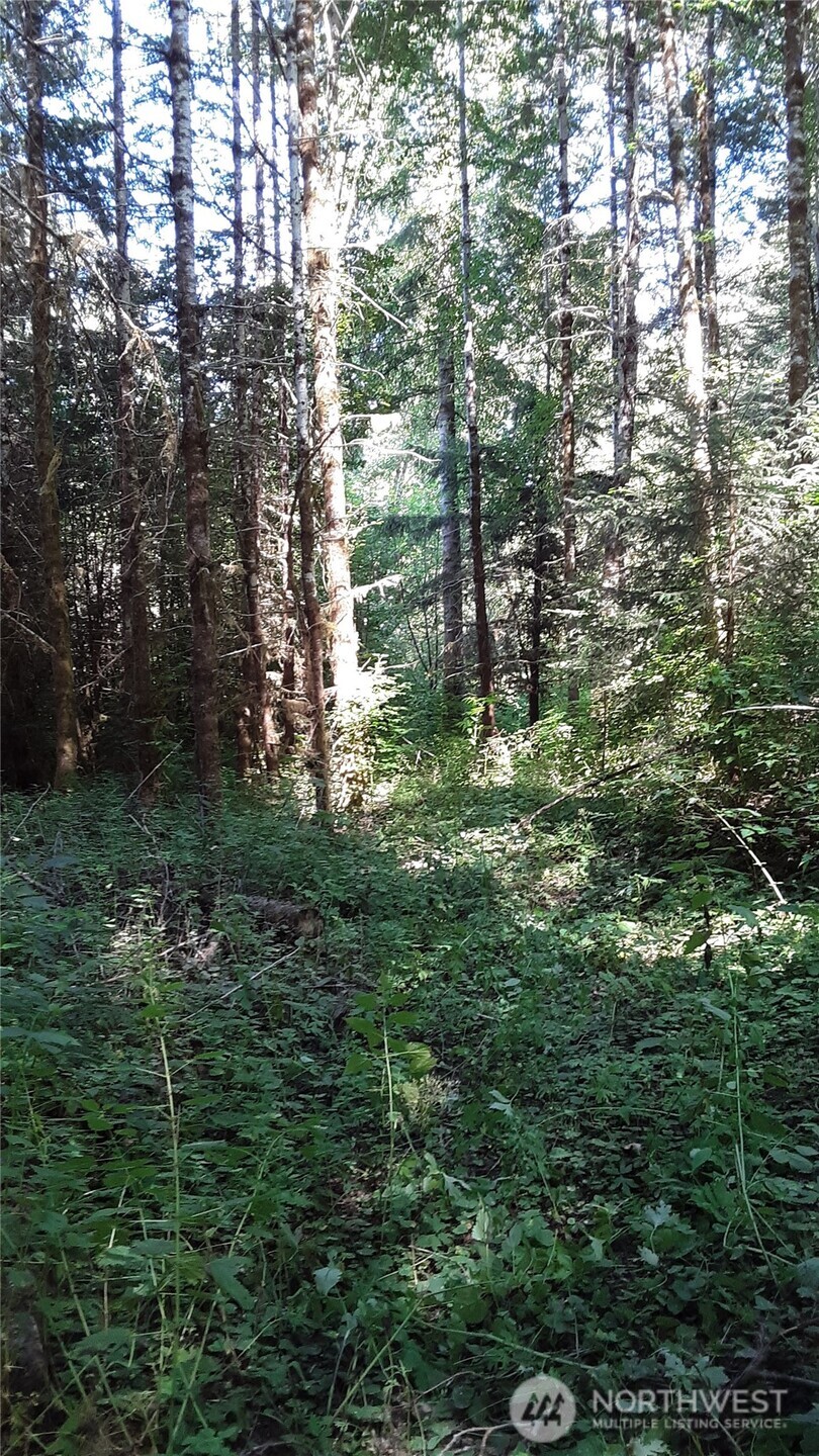 0 236xxx US-101 , Port Angeles, WA 98363