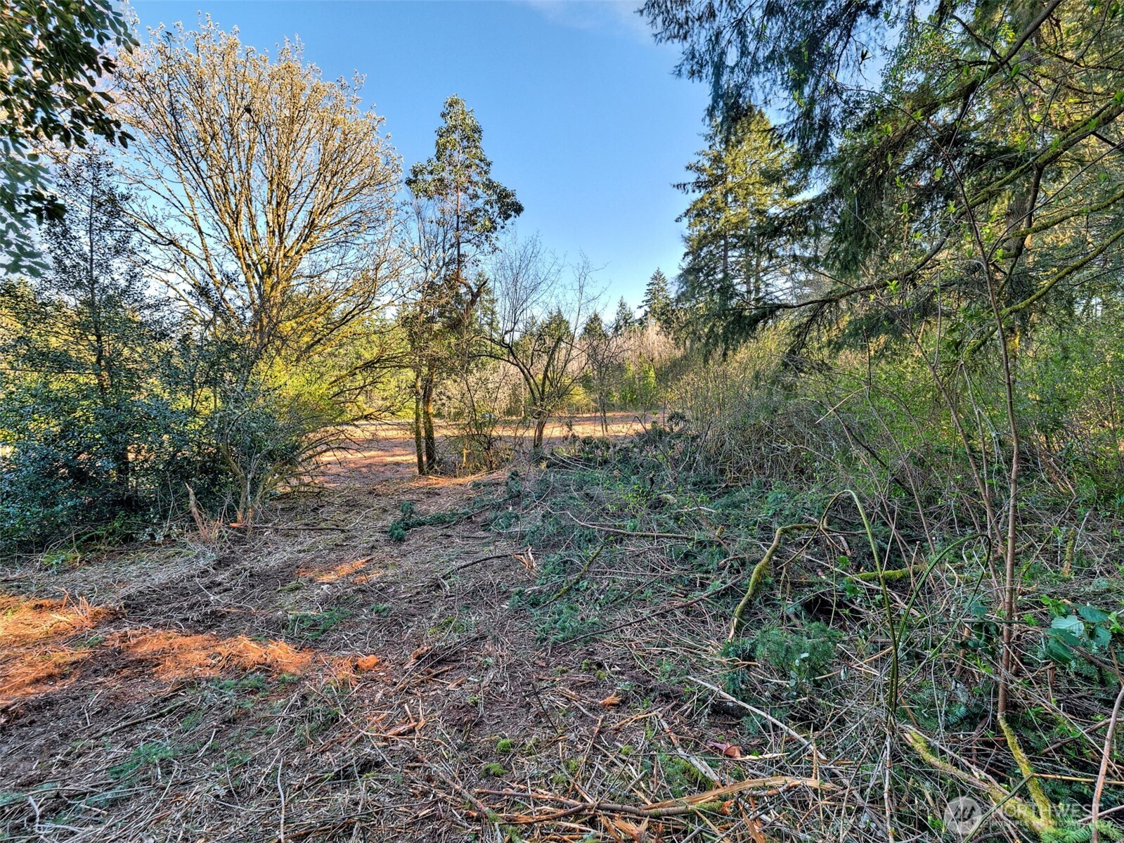 0 XXXXX 22nd Avenue NW, Gig Harbor, WA 98335