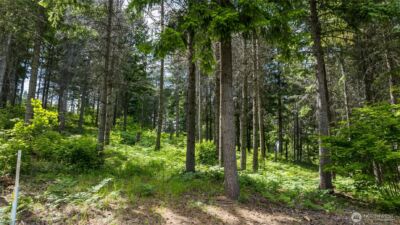 351 Quick Creek Lane , Cle Elum, WA 98922 - Photo 4