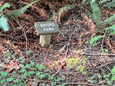 13318 Beverly Park Boulevard , Mukilteo, WA 98275 - Photo 27