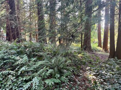 13318 Beverly Park Boulevard , Mukilteo, WA 98275 - Photo 29