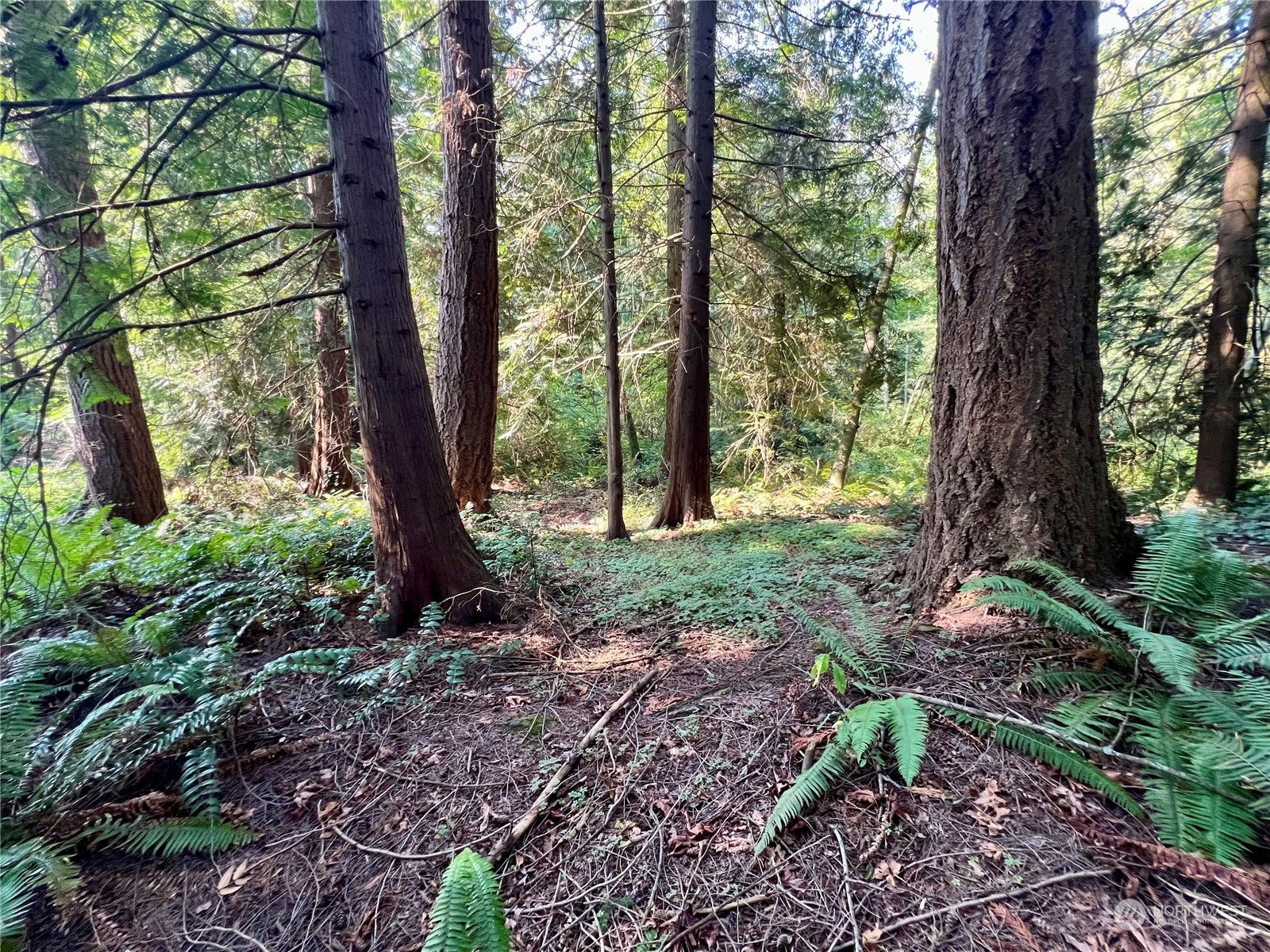 13318 Beverly Park Boulevard , Mukilteo, WA 98275