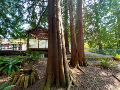 13318 Beverly Park Boulevard , Mukilteo, WA 98275 - Photo 32