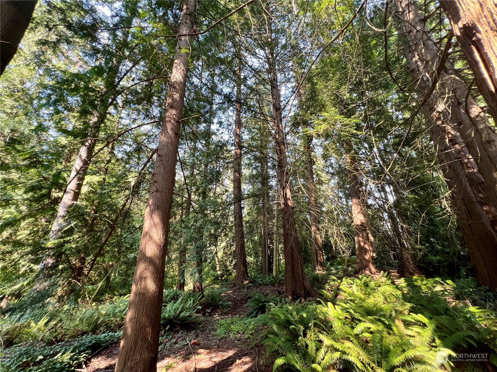 13318 Beverly Park Boulevard , Mukilteo, WA 98275