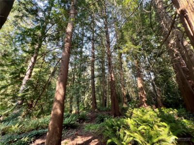 13318 Beverly Park Boulevard , Mukilteo, WA 98275 - Photo 33