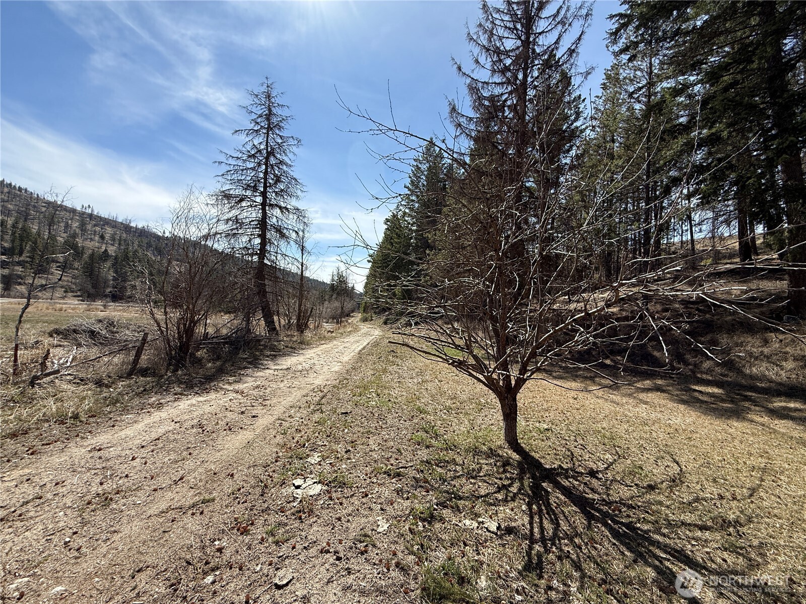 331 Bonaparte Lake Road , Tonasket, WA 98859