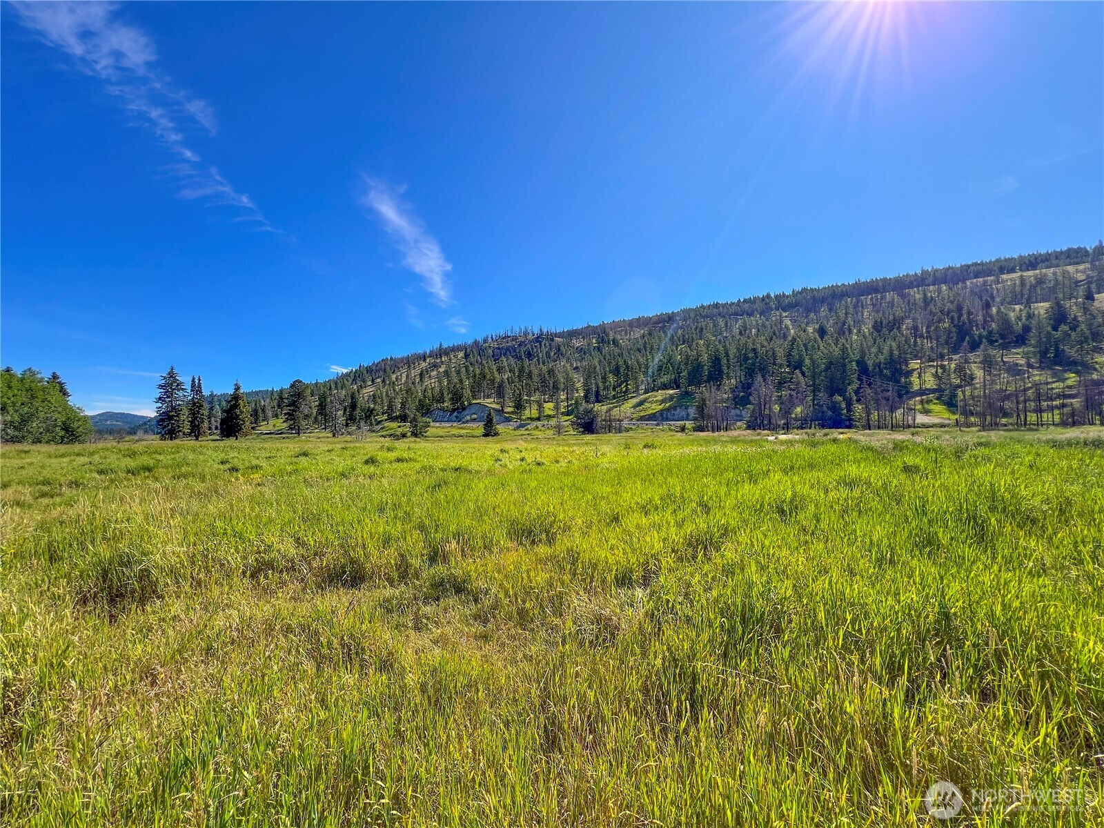 331 Bonaparte Lake Road , Tonasket, WA 98859