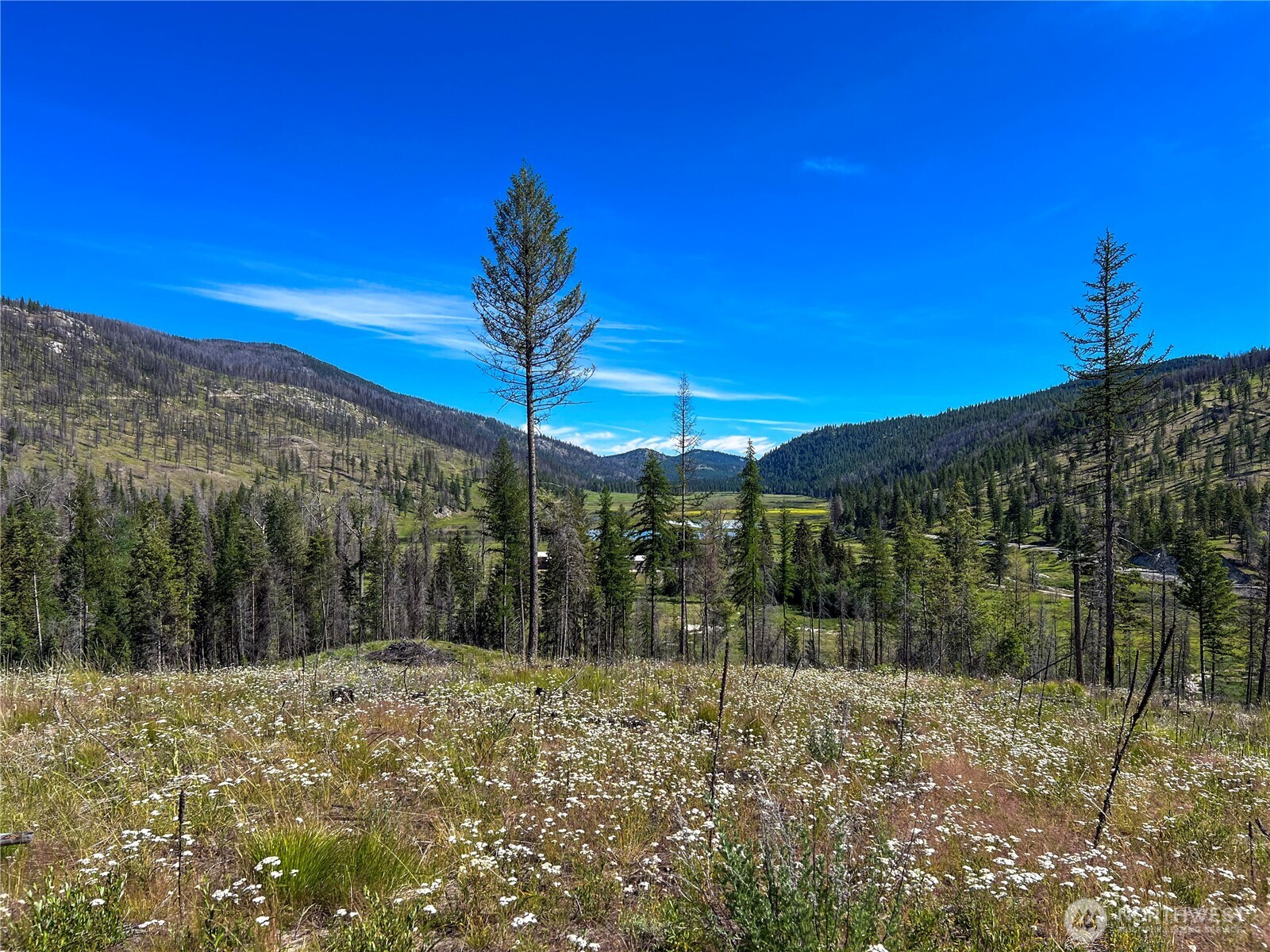 331 Bonaparte Lake Road , Tonasket, WA 98859