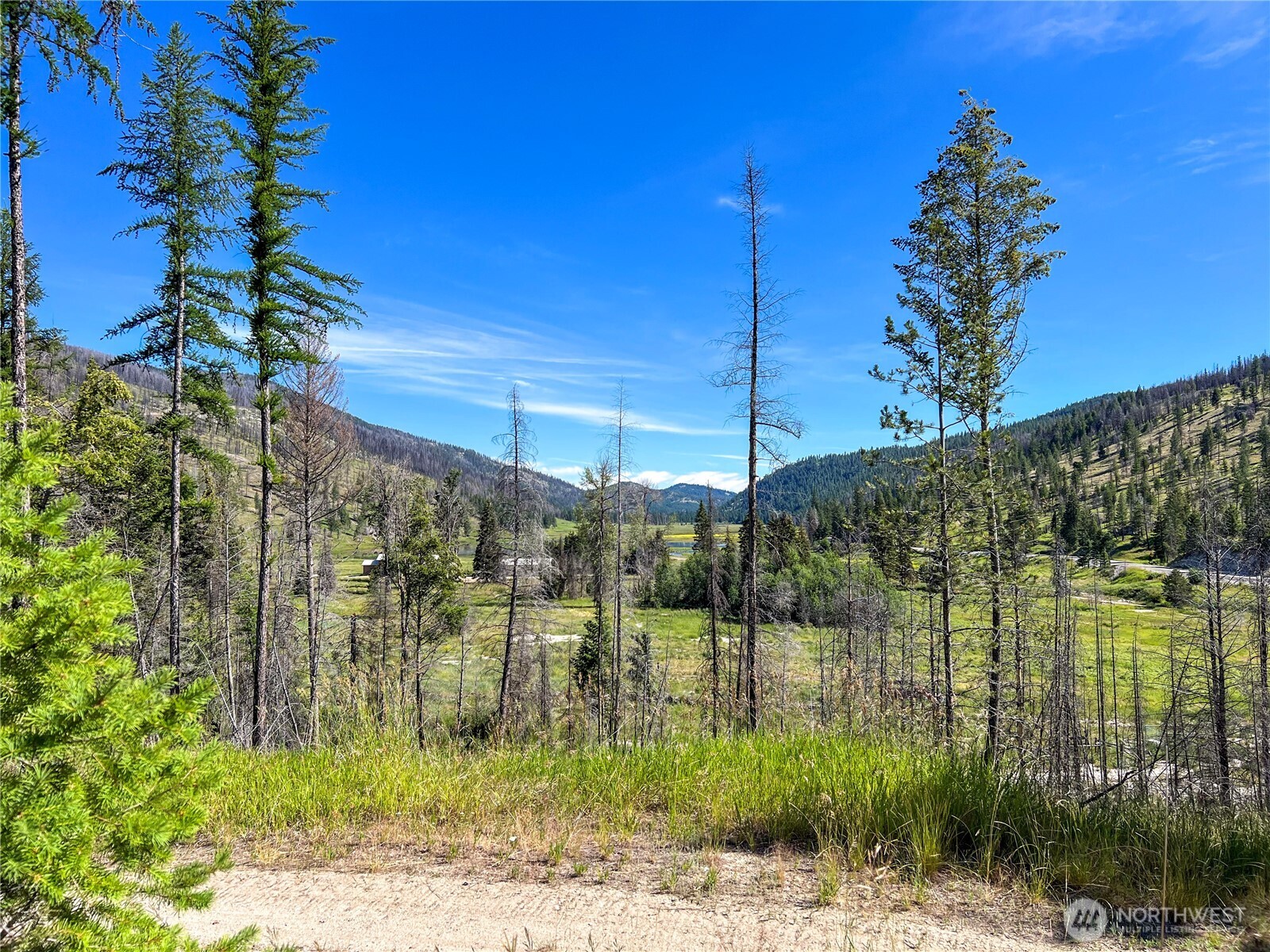 331 Bonaparte Lake Road , Tonasket, WA 98859