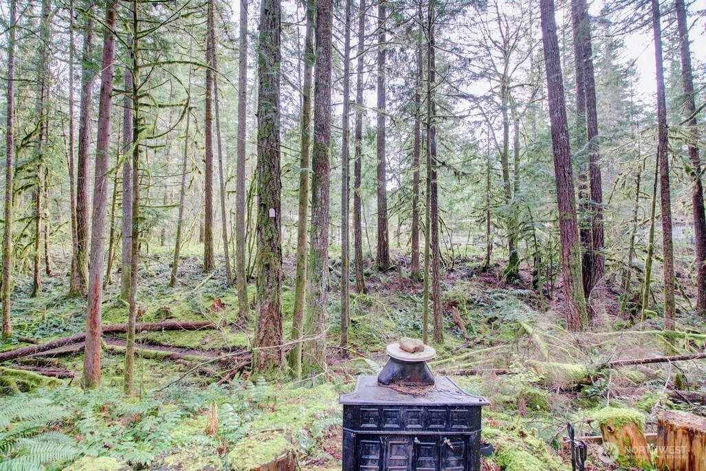 22 Wilderness Way , Deming, WA 98244