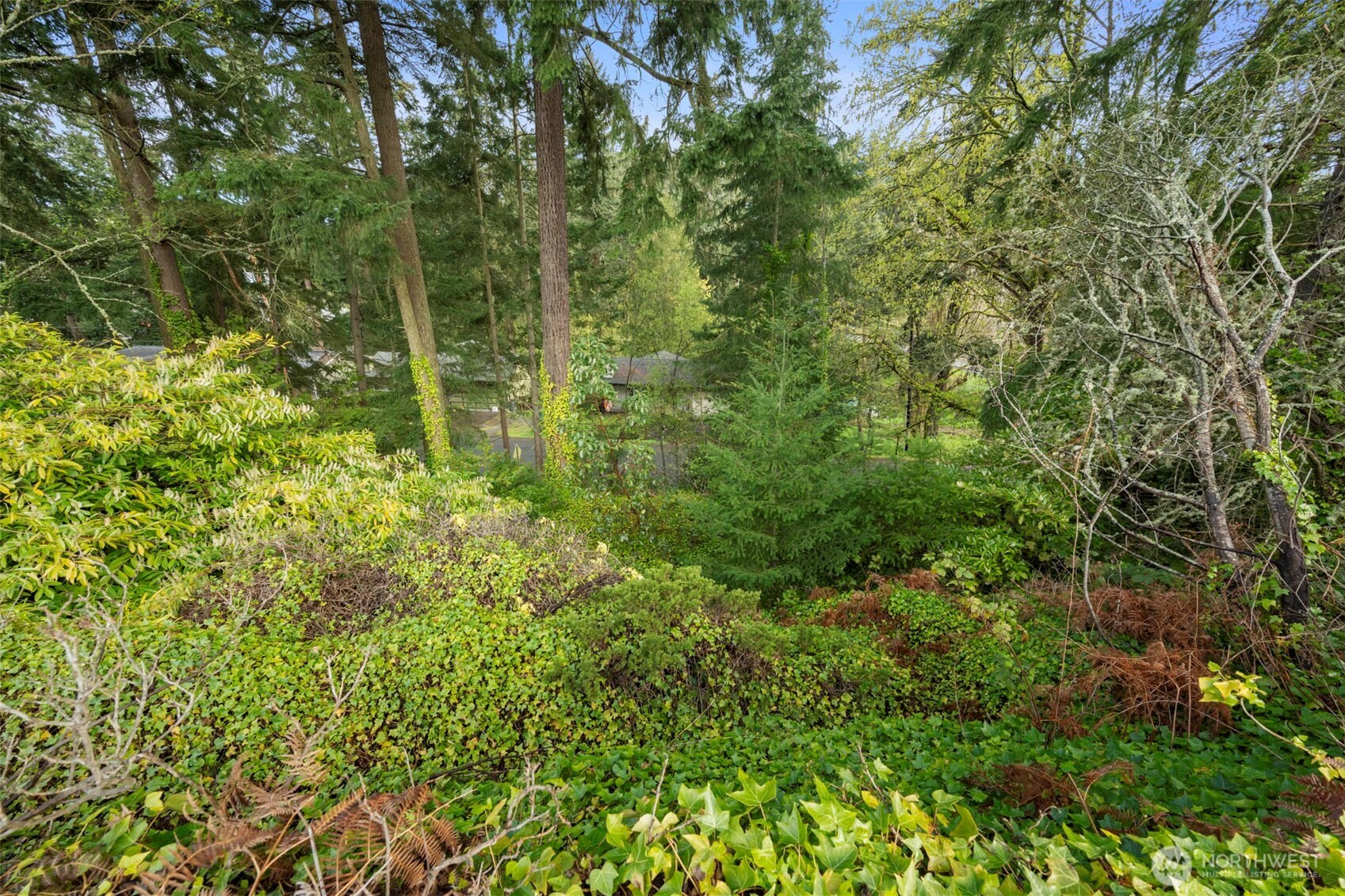 208 N 184th , Shoreline, WA 98133