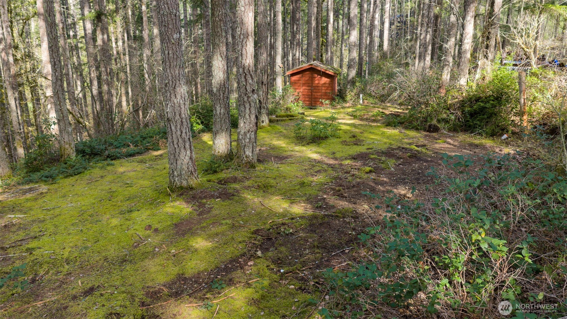 240 N Dogleg Place , Hoodsport, WA 98548