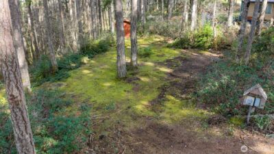 240 N Dogleg Place , Hoodsport, WA 98548 - Photo 2