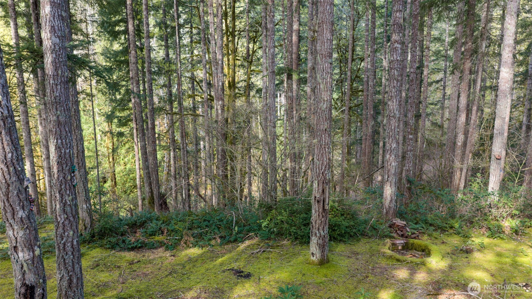 240 N Dogleg Place , Hoodsport, WA 98548