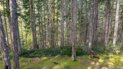 240 N Dogleg Place , Hoodsport, WA 98548 - Photo 3