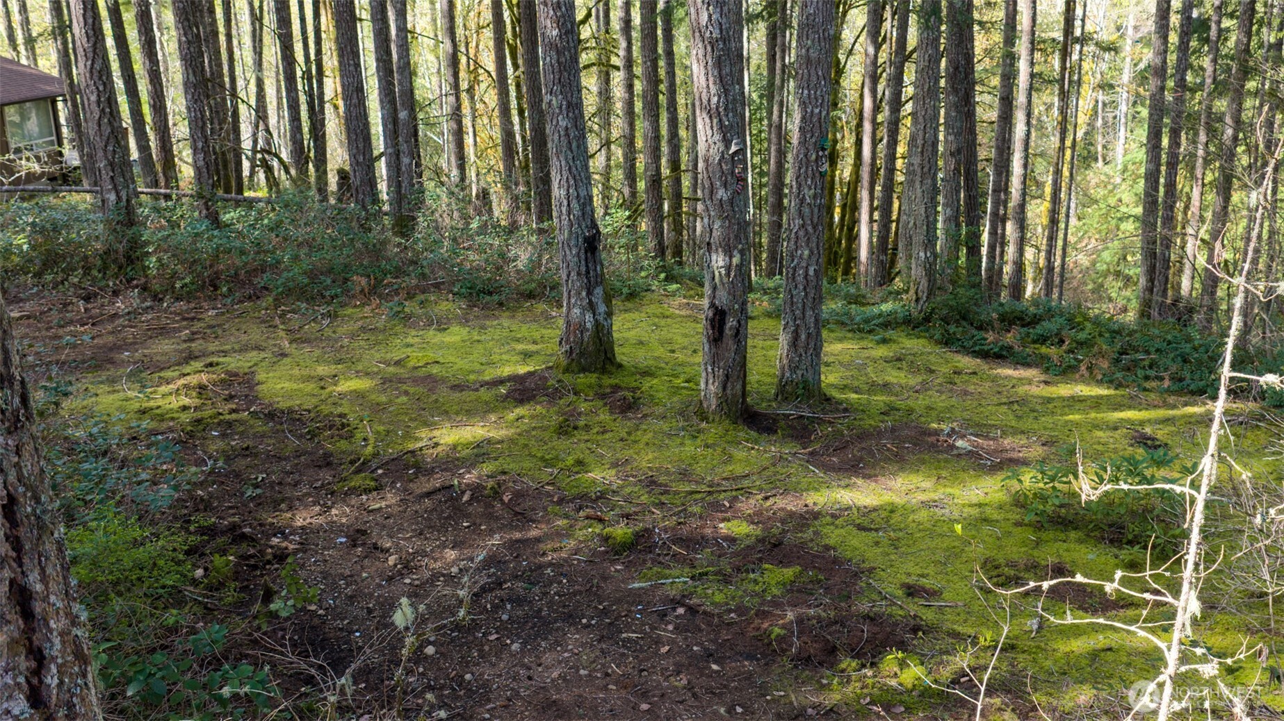 240 N Dogleg Place , Hoodsport, WA 98548