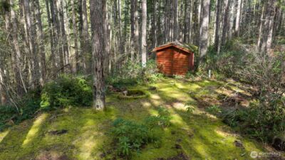 240 N Dogleg Place , Hoodsport, WA 98548 - Photo 5