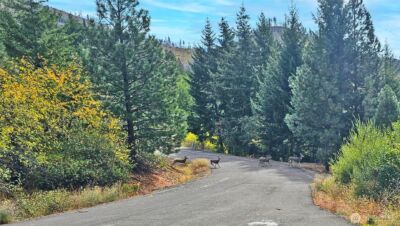 0 Lot B Grandview Road , Ronald, WA 98940 - Photo 18