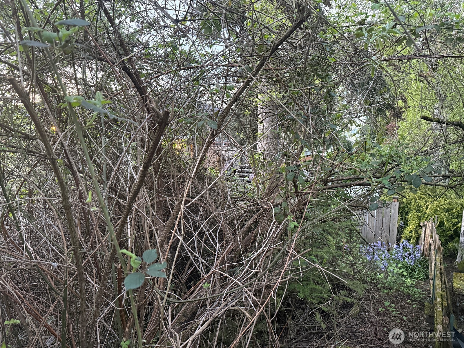 3722 20th Avenue SW, Seattle, WA 98106