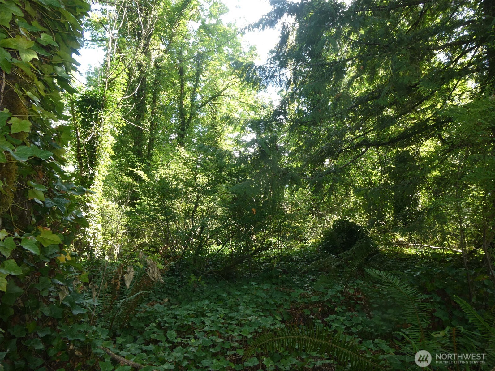 1212 Croft Avenue , Gold Bar, WA 98251