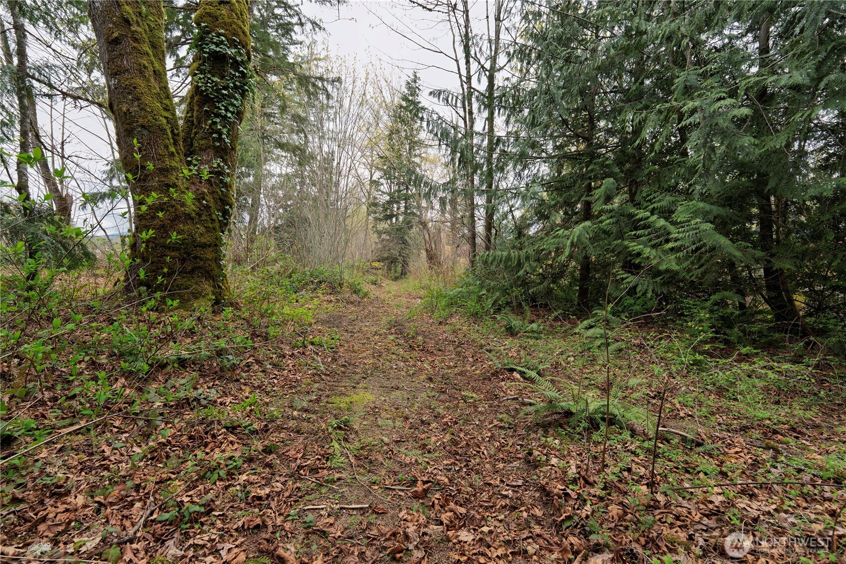 1212 Croft Avenue , Gold Bar, WA 98251