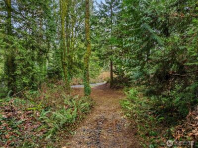9351 Moss Lane NE, Bainbridge Island, WA 98110 - Photo 11