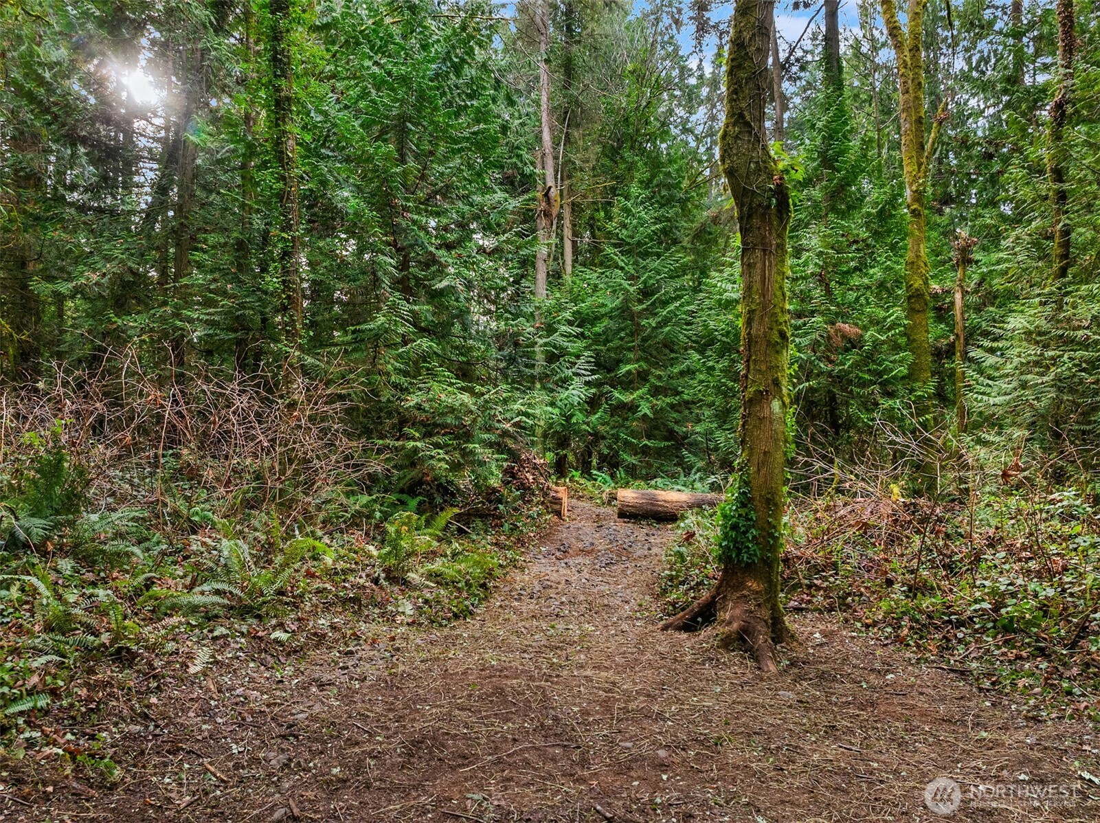9351 Moss Lane NE, Bainbridge Island, WA 98110