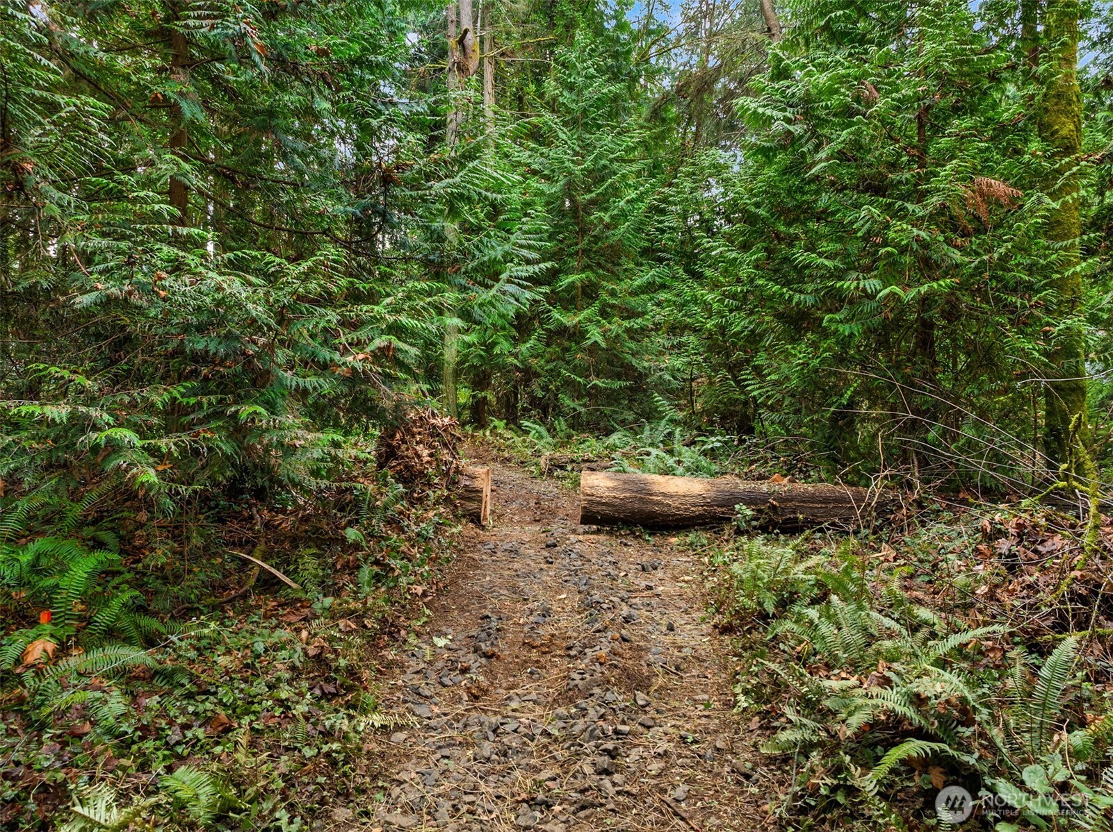 9351 Moss Lane NE, Bainbridge Island, WA 98110