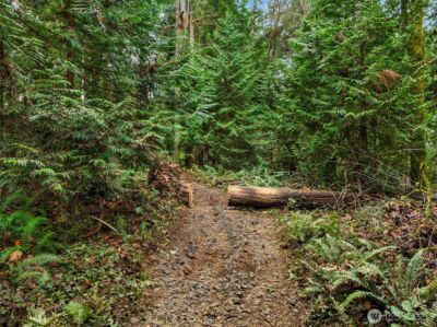 9351 Moss Lane NE, Bainbridge Island, WA 98110 - Photo 13