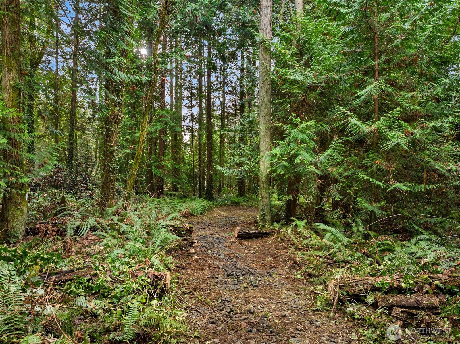 9351 Moss Lane NE, Bainbridge Island, WA 98110