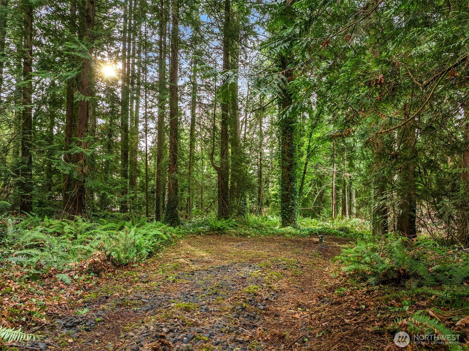 9351 Moss Lane NE, Bainbridge Island, WA 98110
