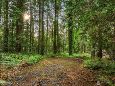 9351 Moss Lane NE, Bainbridge Island, WA 98110 - Photo 15