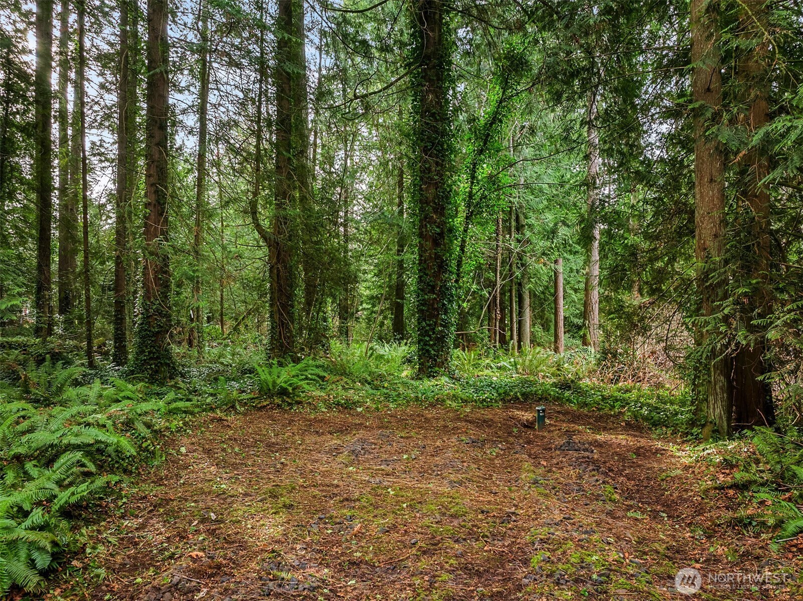 9351 Moss Lane NE, Bainbridge Island, WA 98110