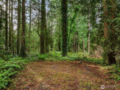 9351 Moss Lane NE, Bainbridge Island, WA 98110 - Photo 16