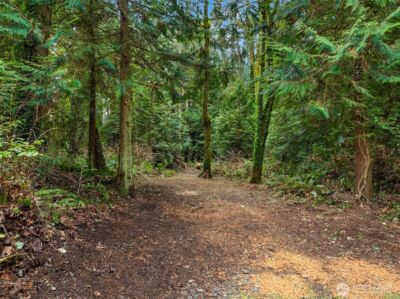 9351 Moss Lane NE, Bainbridge Island, WA 98110 - Photo 9
