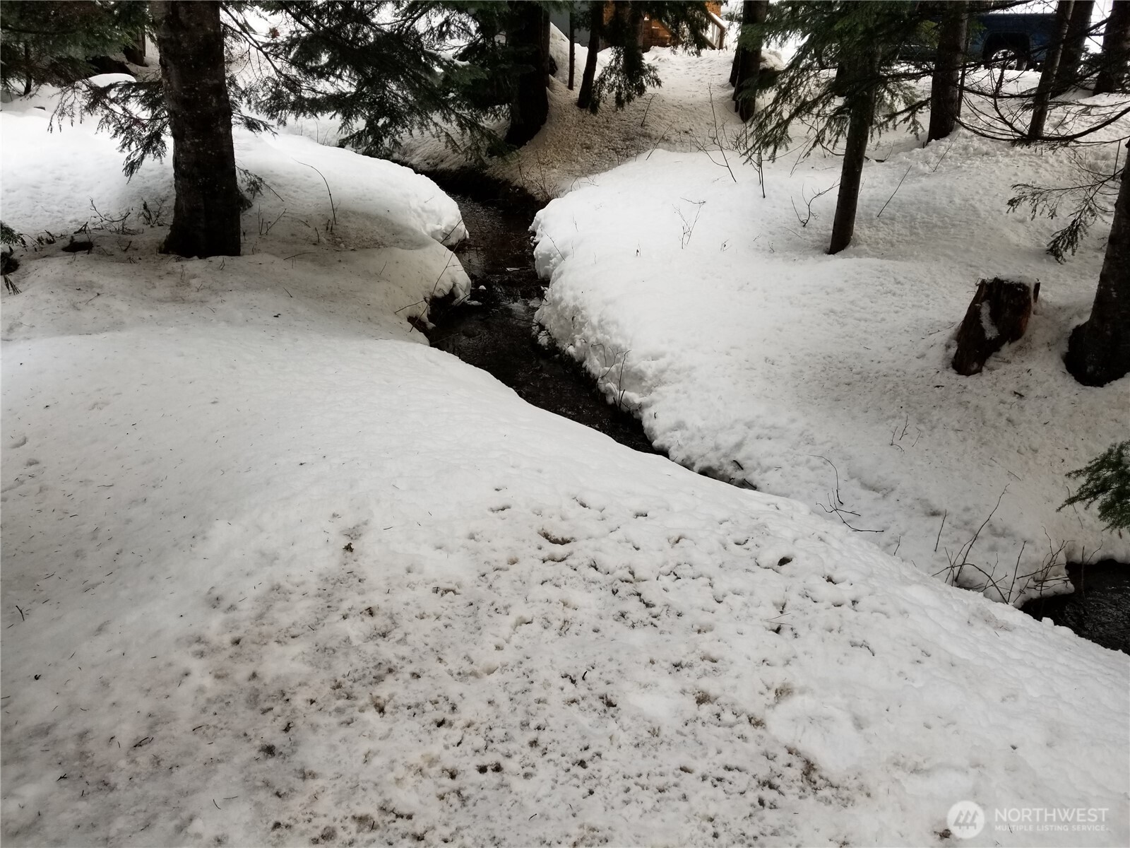 10 Olson Drive N, Snoqualmie Pass, WA 98068
