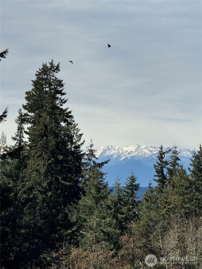 17123 69th Place W, Edmonds, WA 98026-5232 - Photo 39