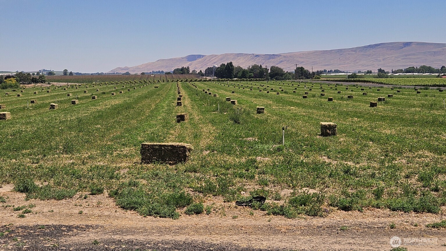 125498 W McCreadie , Prosser, WA 99350