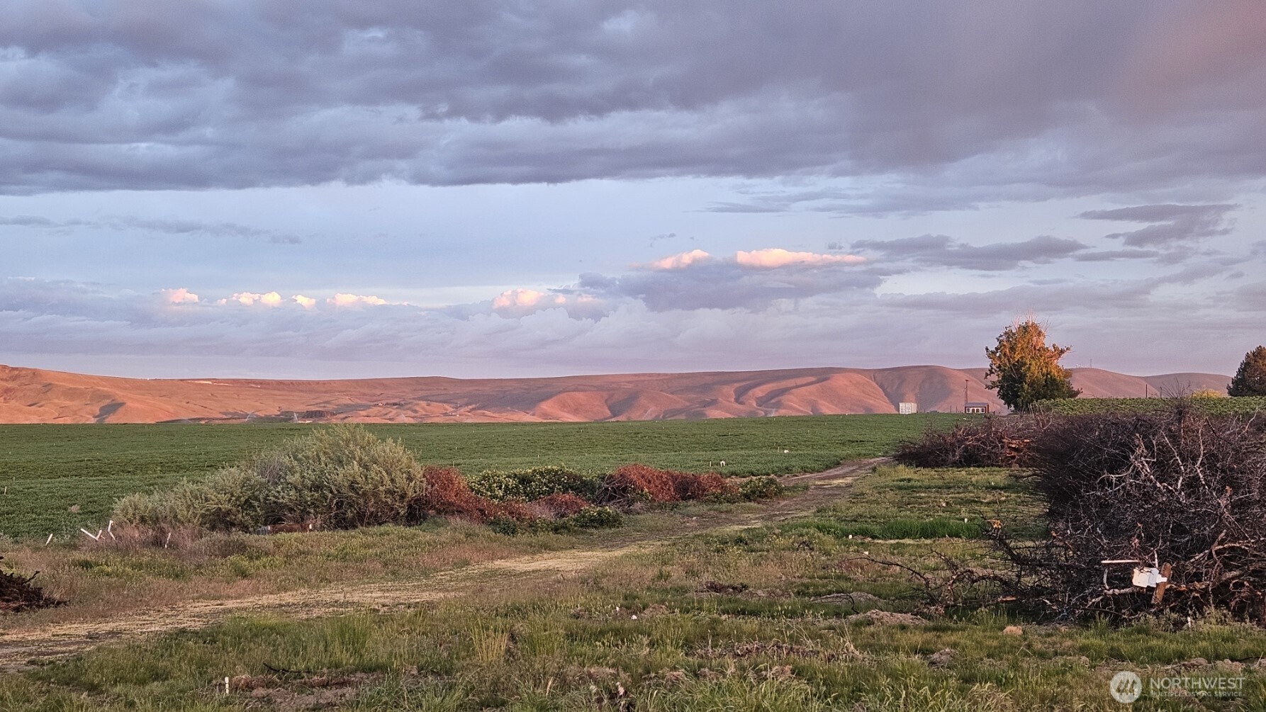 125498 W McCreadie , Prosser, WA 99350