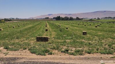 125498 W McCreadie , Prosser, WA 99350 - Photo 2