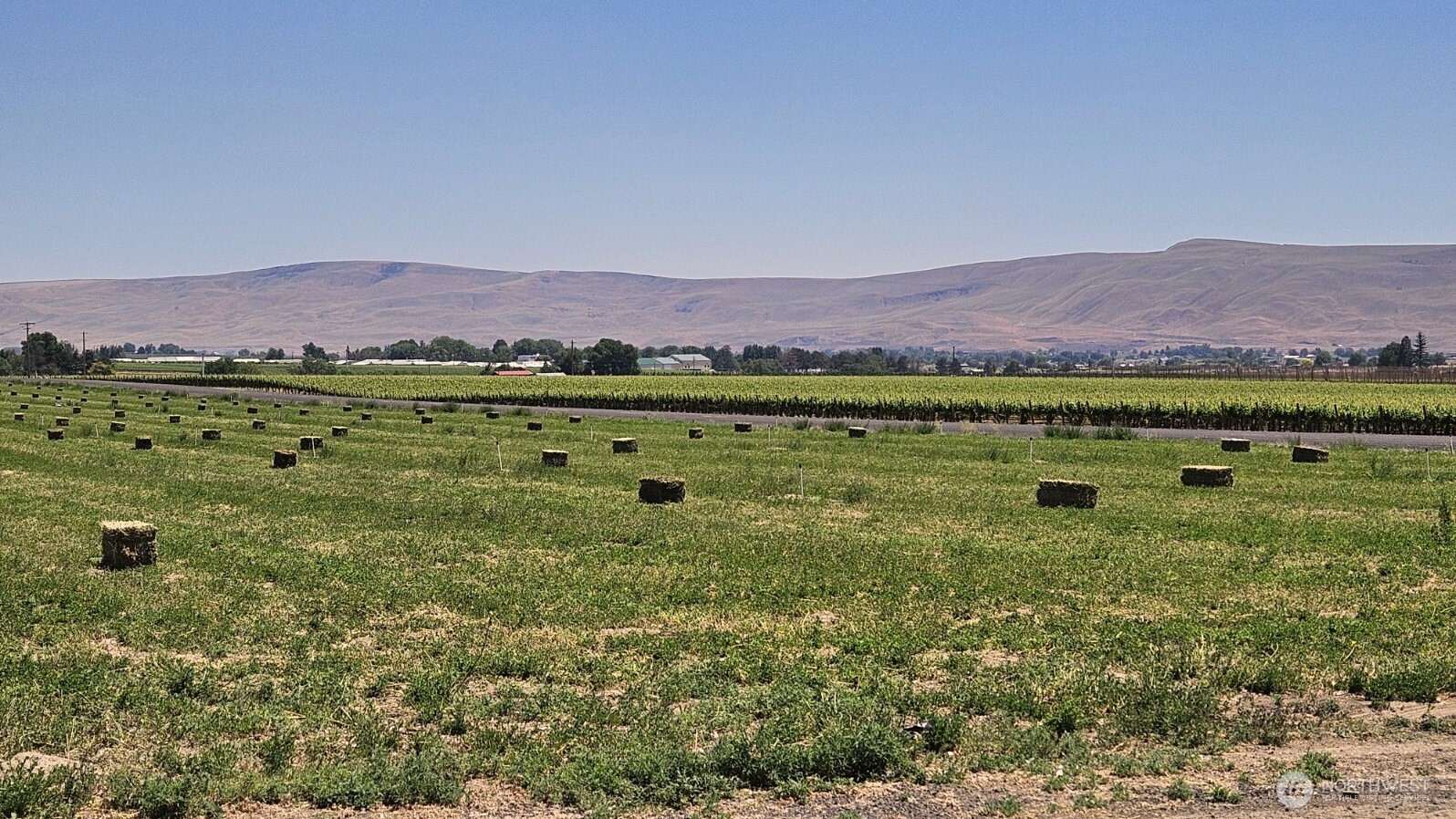 125498 W McCreadie , Prosser, WA 99350