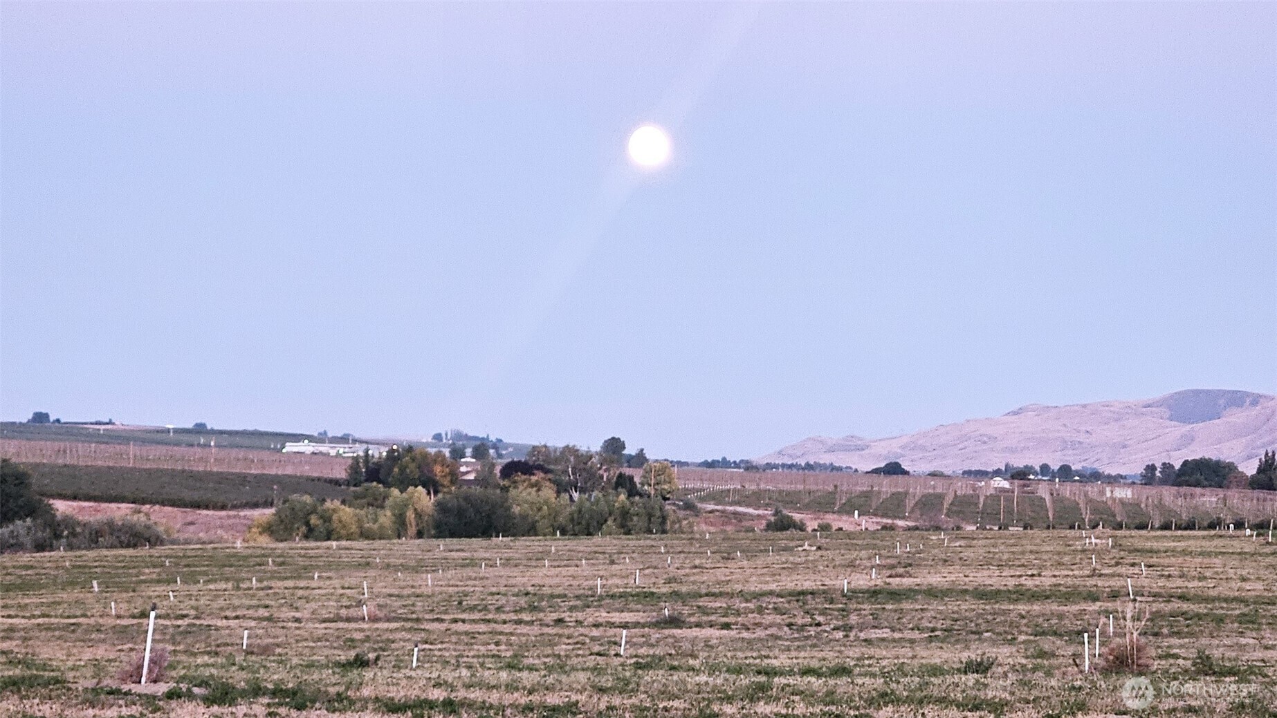 125498 W McCreadie , Prosser, WA 99350